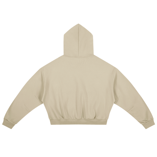 Boxy Darted Sleeve Hoodie