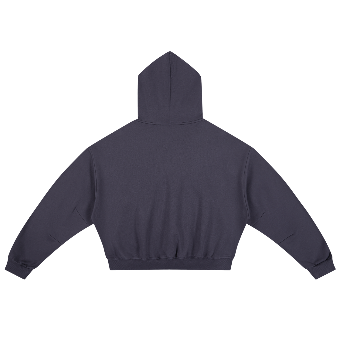 Boxy Darted Sleeve Hoodie