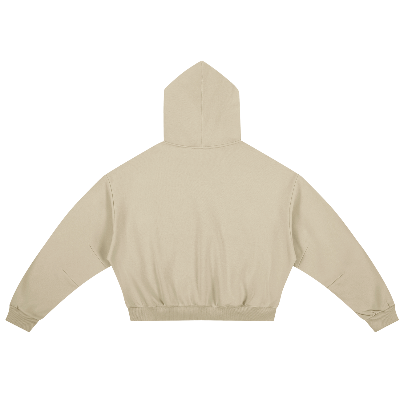 Boxy Darted Sleeve Hoodie