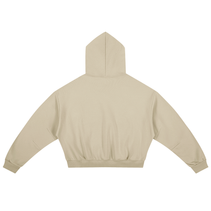 Boxy Darted Sleeve Hoodie