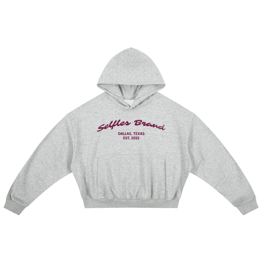 Boxy Darted Sleeve Hoodie