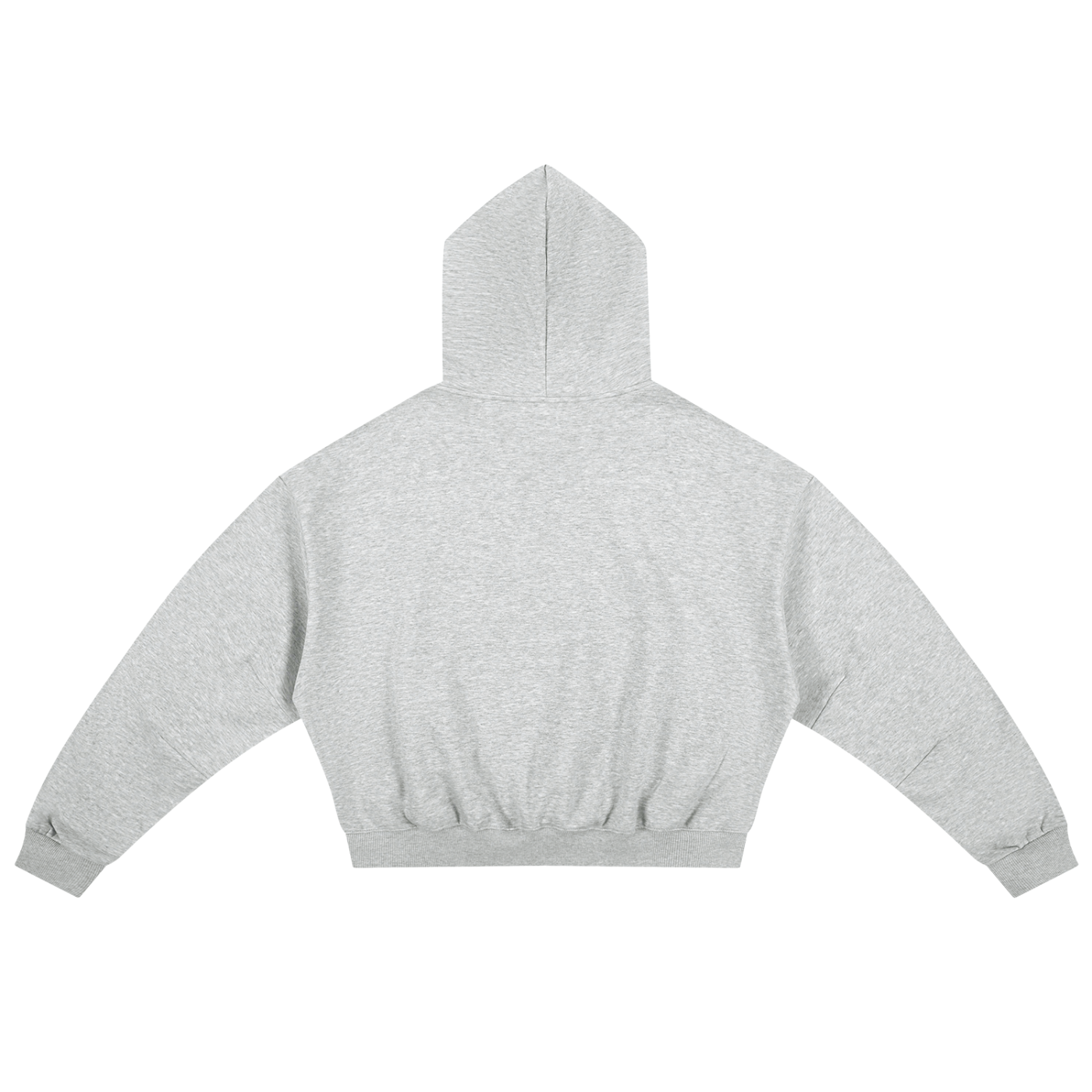 Boxy Darted Sleeve Hoodie