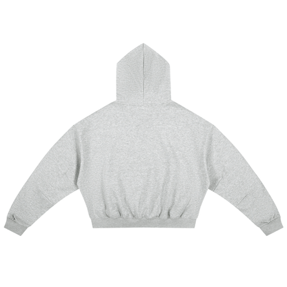 Boxy Darted Sleeve Hoodie