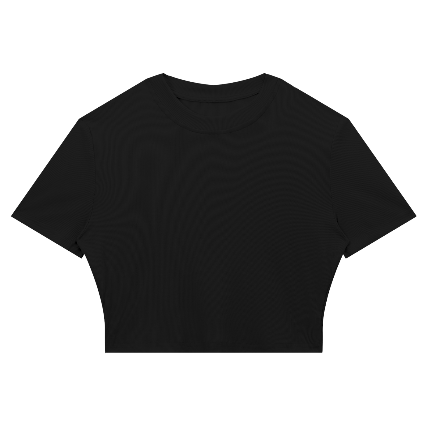 Slim Fit Ribbed Cropped Tee
