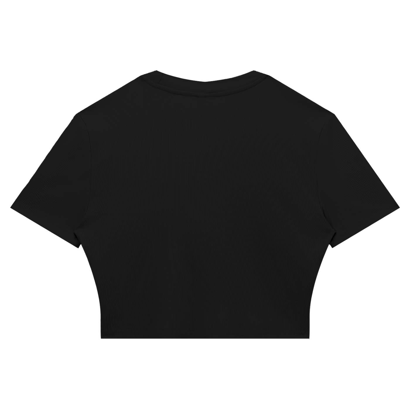 Slim Fit Ribbed Cropped Tee