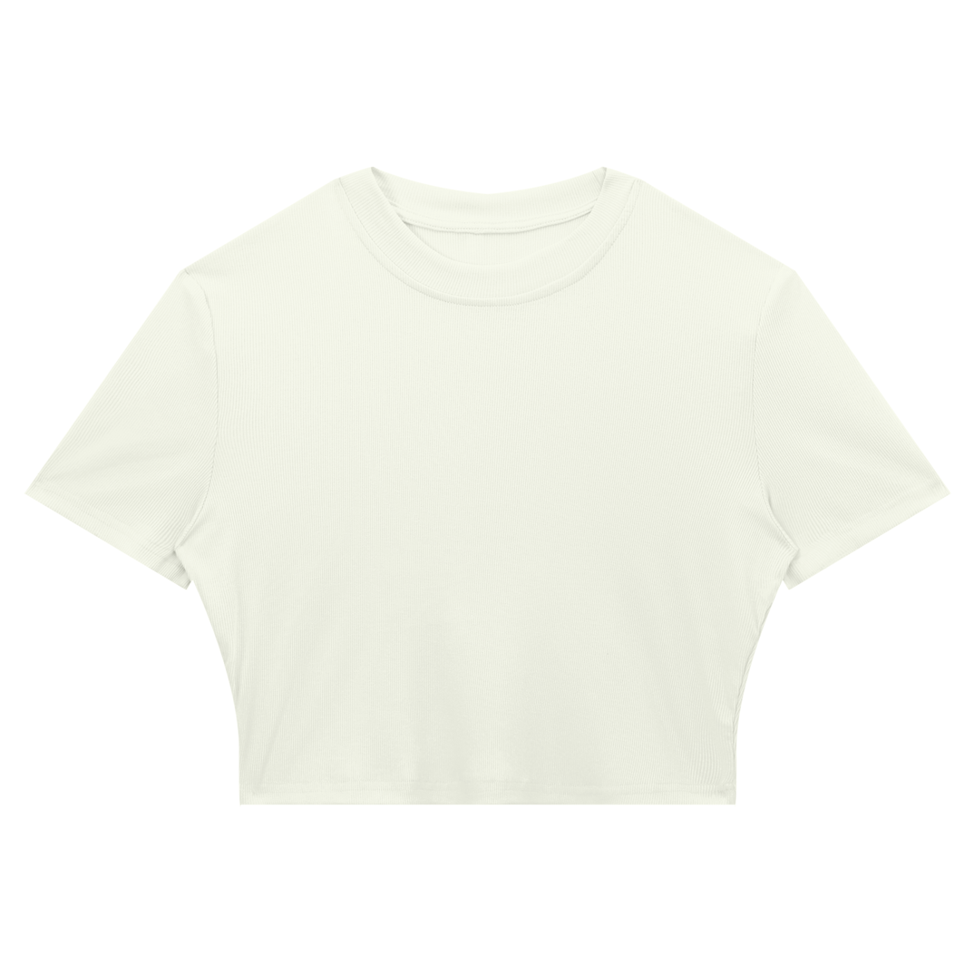 Slim Fit Ribbed Cropped Tee