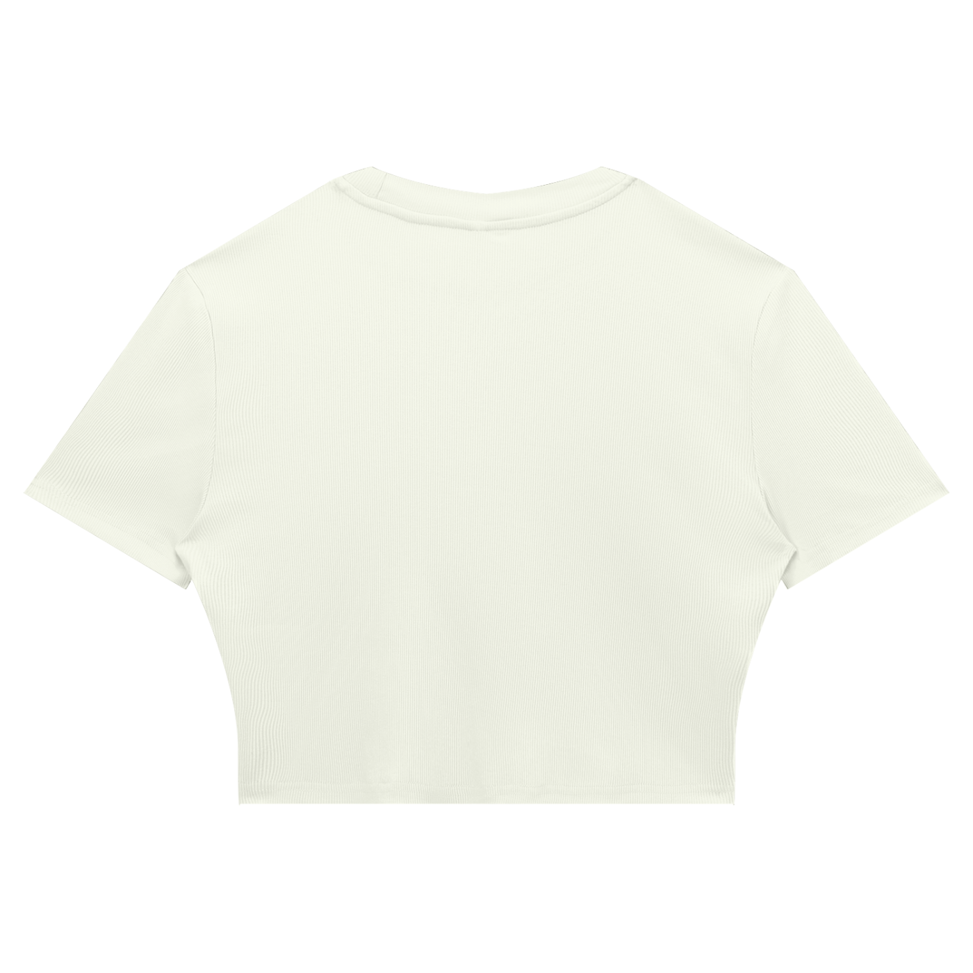 Slim Fit Ribbed Cropped Tee