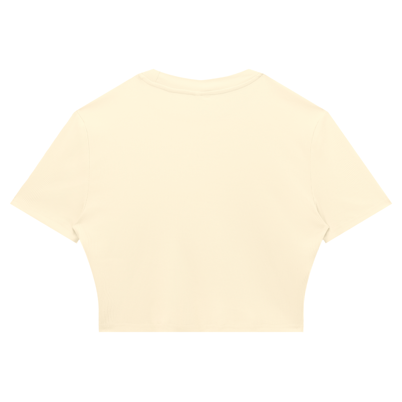 Slim Fit Ribbed Cropped Tee